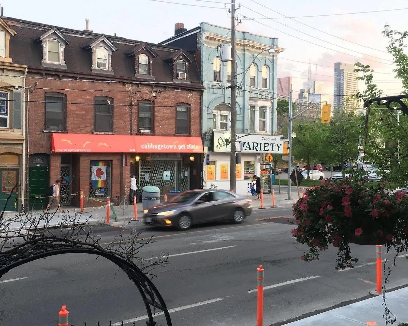 Guest house Comfy Guesthouse & Suite Toronto