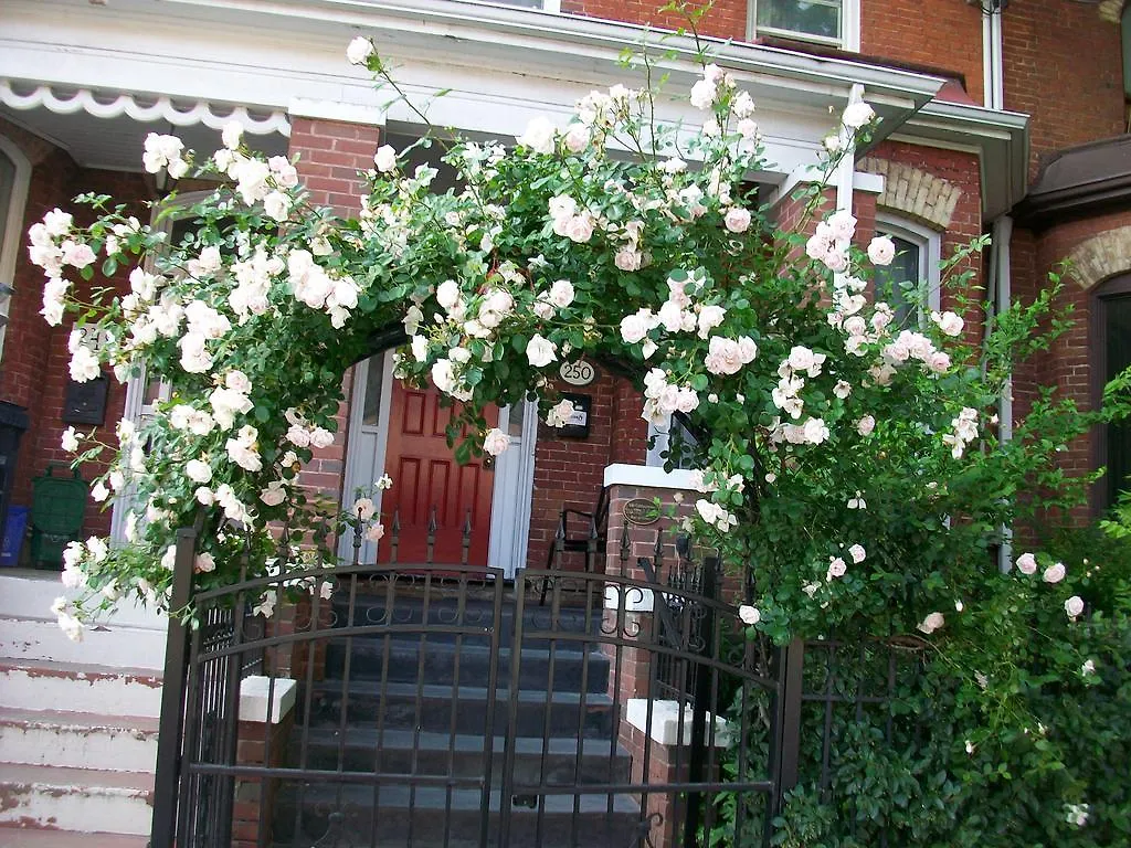 Guest house Comfy Guesthouse & Suite Toronto