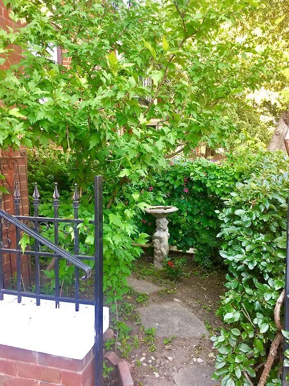 Comfy Guesthouse & Suite Toronto