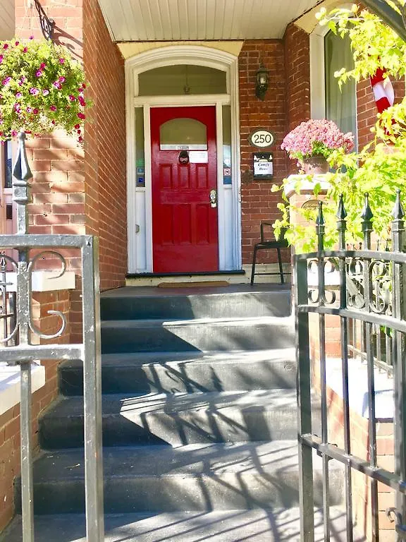 Comfy Guesthouse & Suite Toronto