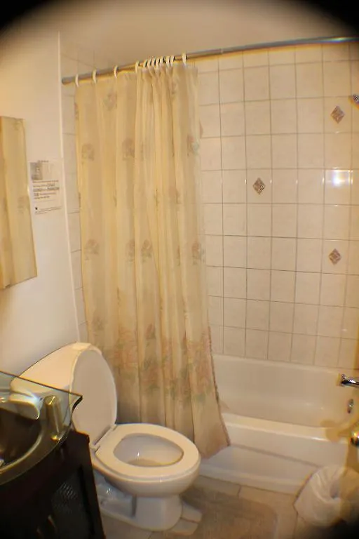 Comfy Guesthouse & Suite Toronto Guest house