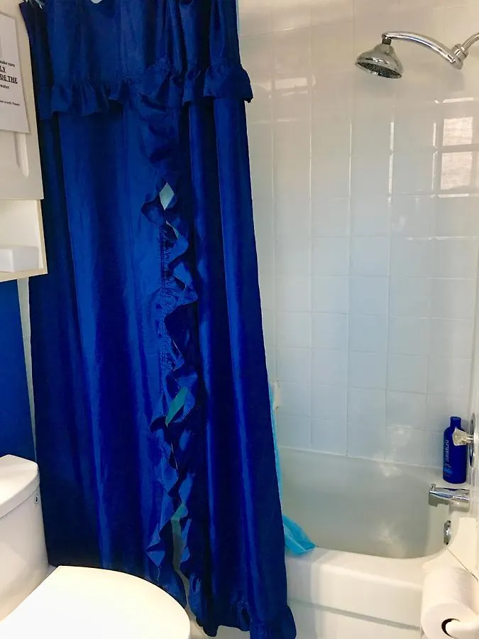 Comfy Guesthouse & Suite Toronto Guest house